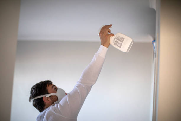 Best Black Mold Remediation in Lindsborg, KS
