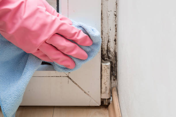 Lindsborg, KS Mold Remediation Company